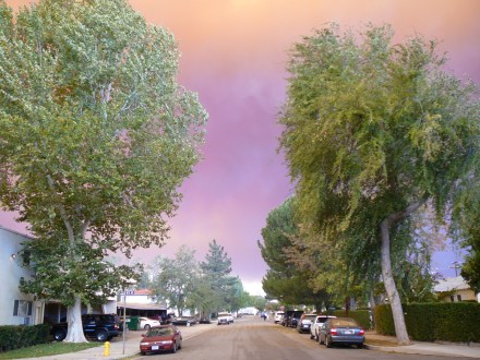 Looking North Down Chestnut St. with Smoky Sky