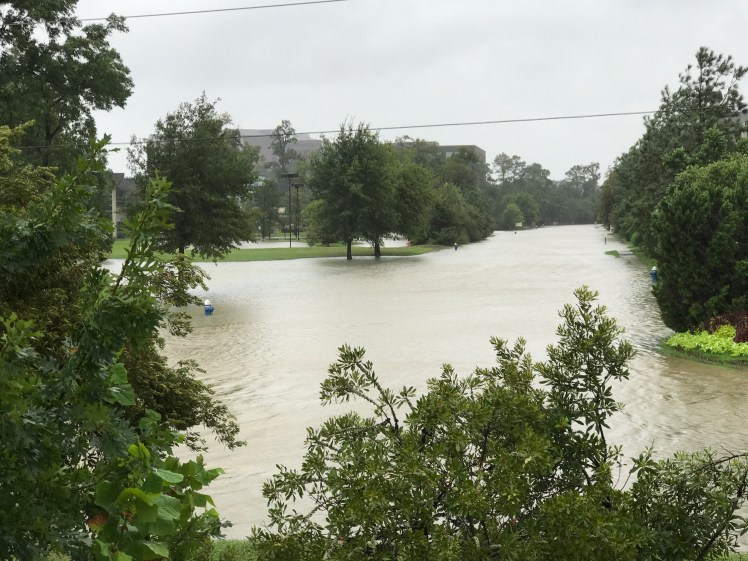 Memorial View from I-10